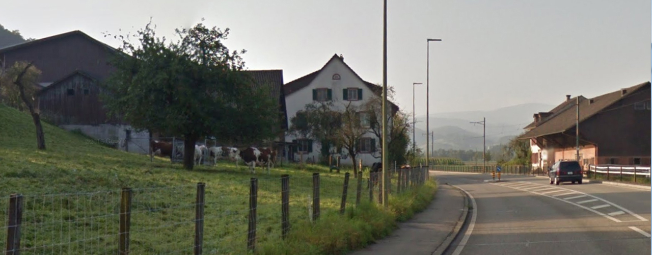 Der Neuhof